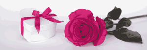 http://colombian-brides.com/wp-content/uploads/2017/07/rose-gifts-300x102.png